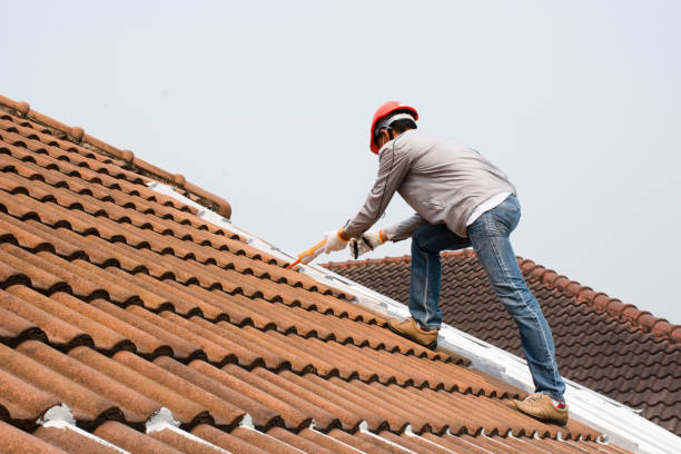 Best Cold Roofs  in Littlefield, TX